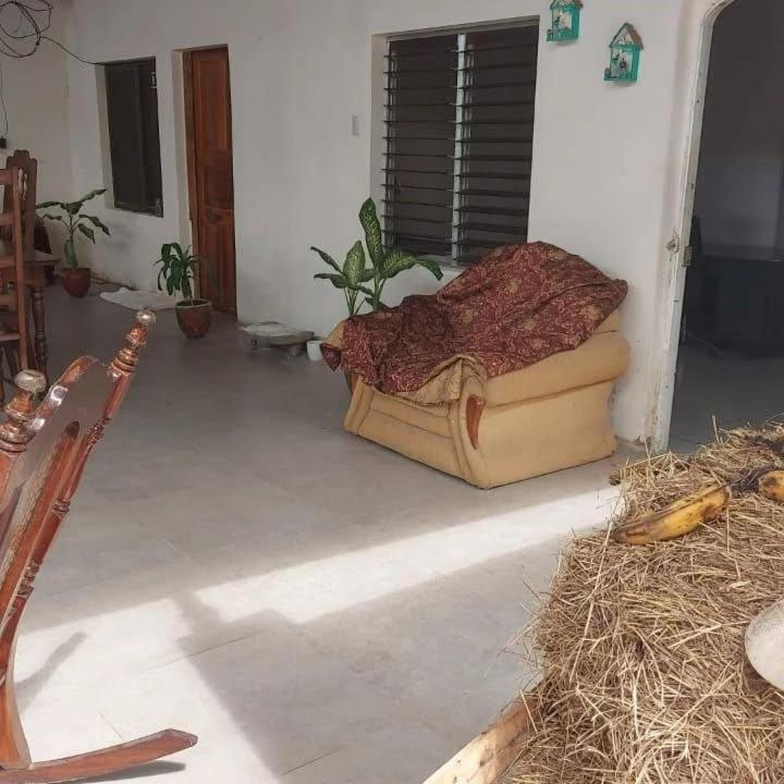 Hostal Brisas Del Ometepe Ривас Экстерьер фото